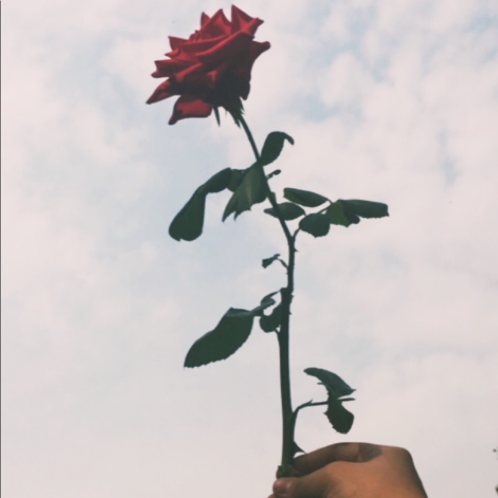 Meet your Posher, Sara